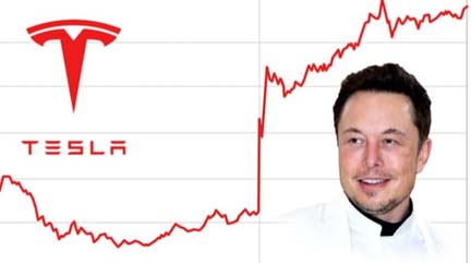 stockelon